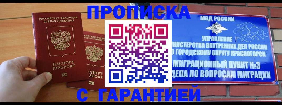 прописка в Тосно